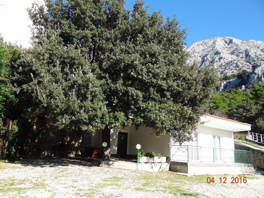 Holiday House Zorra Zivogosce Exterior photo